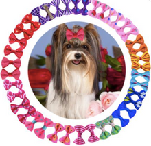 Load image into Gallery viewer, Every Colour Of The RainBOW