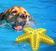 Load image into Gallery viewer, The Sof's Toothbrush